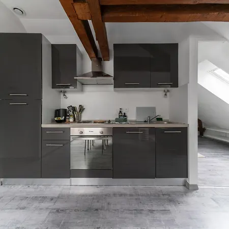 Design And Air-Conditioned Apartment Vichy