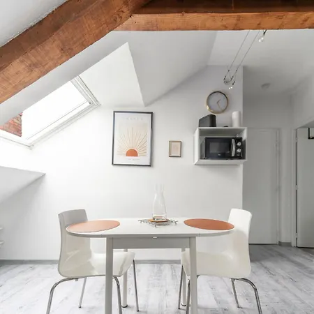 Design And Air-Conditioned Apartment Vichy